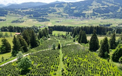 Das Allgäu