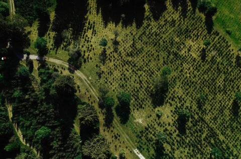 Allgäu